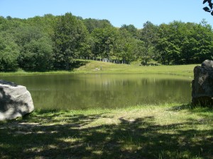 CIMG0229