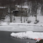 DSC00499