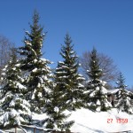 DSC00653