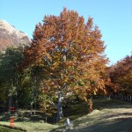 DSC01256