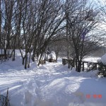 DSC01291