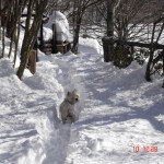 Otello nella neve