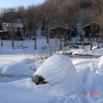 DSC01348