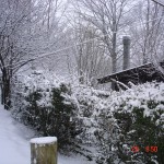 DSC01404