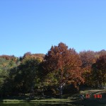 paesaggio in autunno