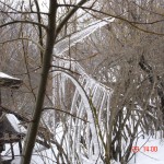Immagine 021