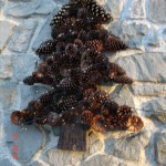 il mio albero di Natale