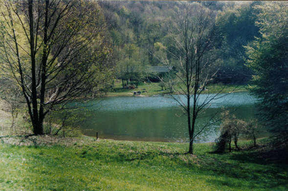 Lago Verde1 Lago Verde1