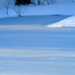 Photo001
