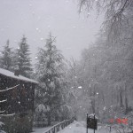 nevica