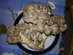 DSC01058