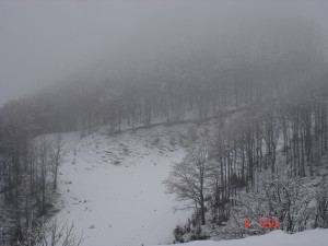 Le piste innevate