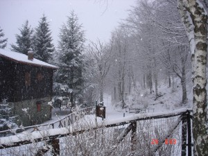 la neve
