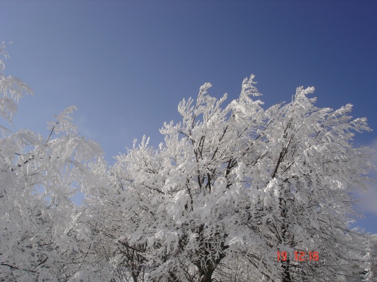 DSC01798