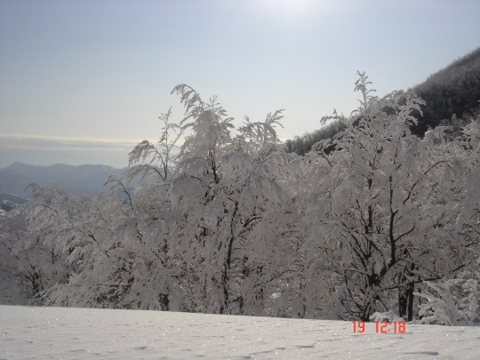 DSC01804