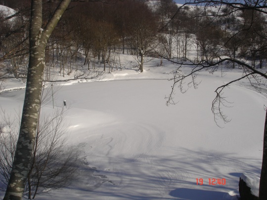 DSC01811