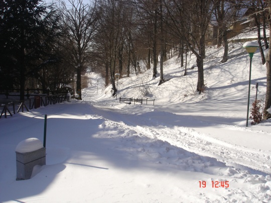 DSC01816