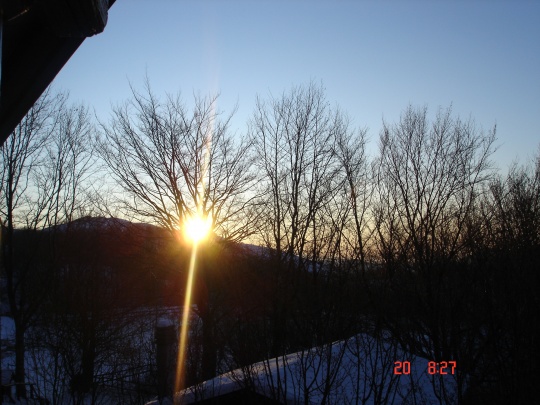 DSC01831