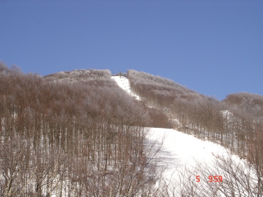 DSC02153 Le piste