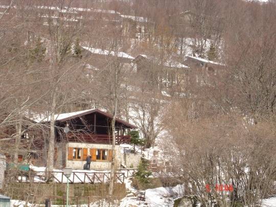 DSC02186 Ilvo di vedetta.